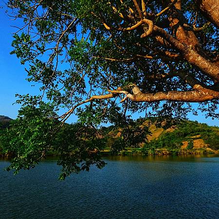 Wisata Alam
