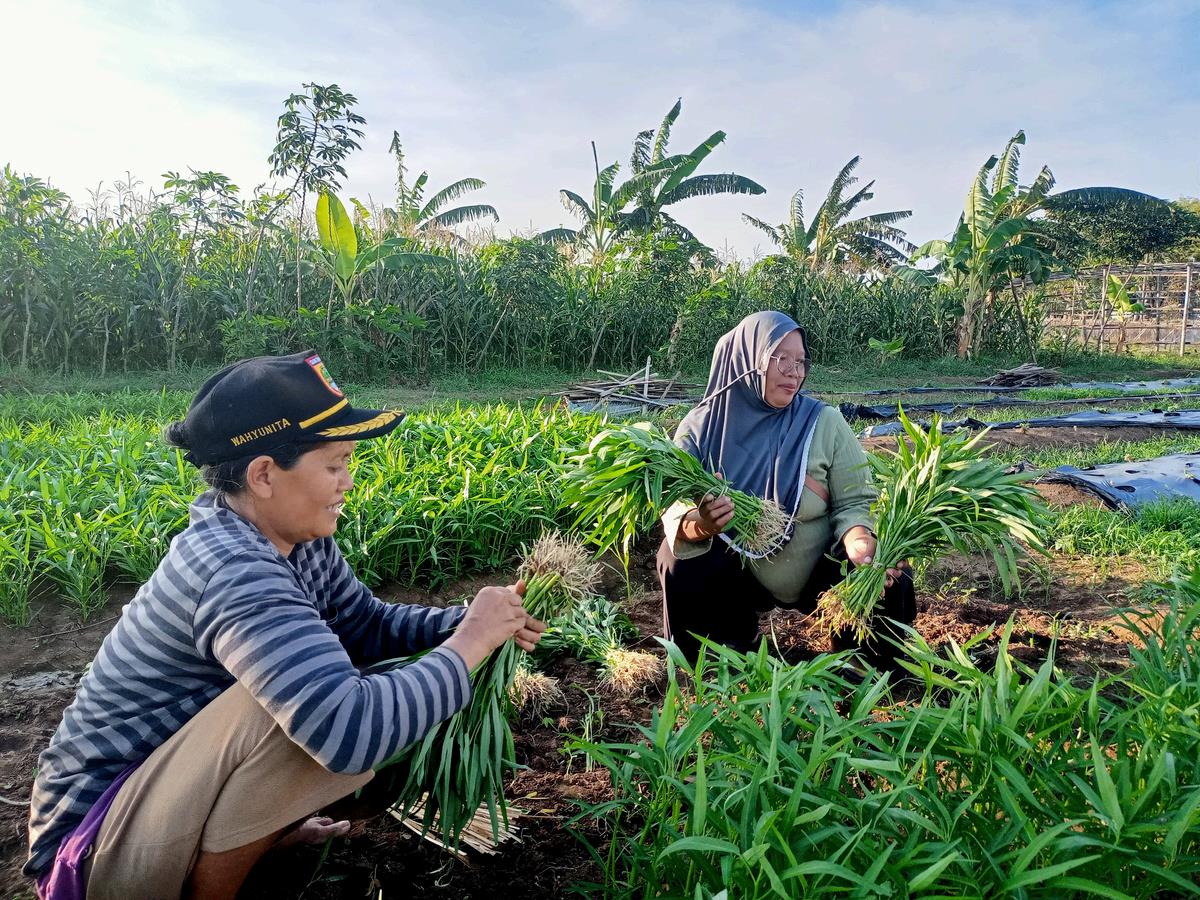 Wisata Agro